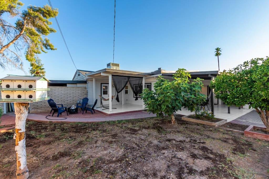 New Midtown Modern Studio With Backyard Phoenix Exterior foto
